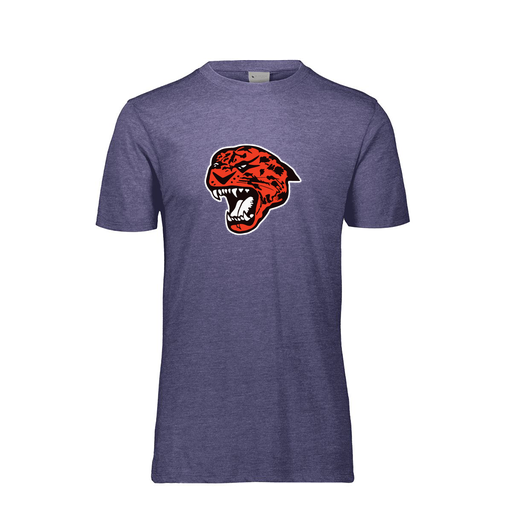 [FTSCUBRY-AS-LOGO1] Decker Men's Tri-Blend T-Shirt - Short Sleeve (Adult S, Royal, Logo 1)